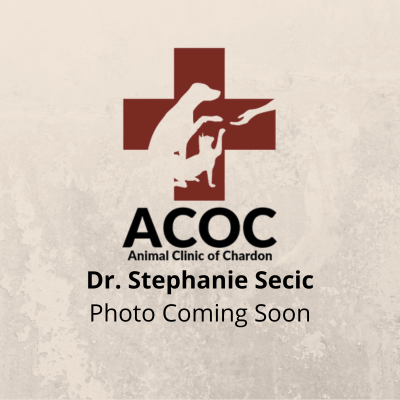 Dr. Stephanie Secic