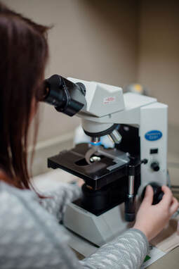 Dr. Jessica looking in microscope