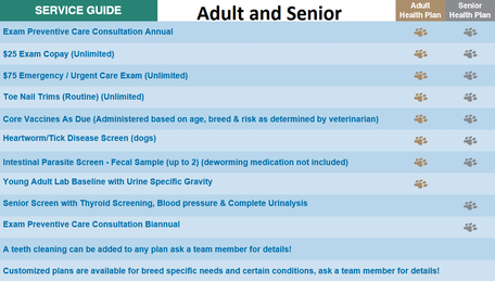 Included services for Adults and Seniors